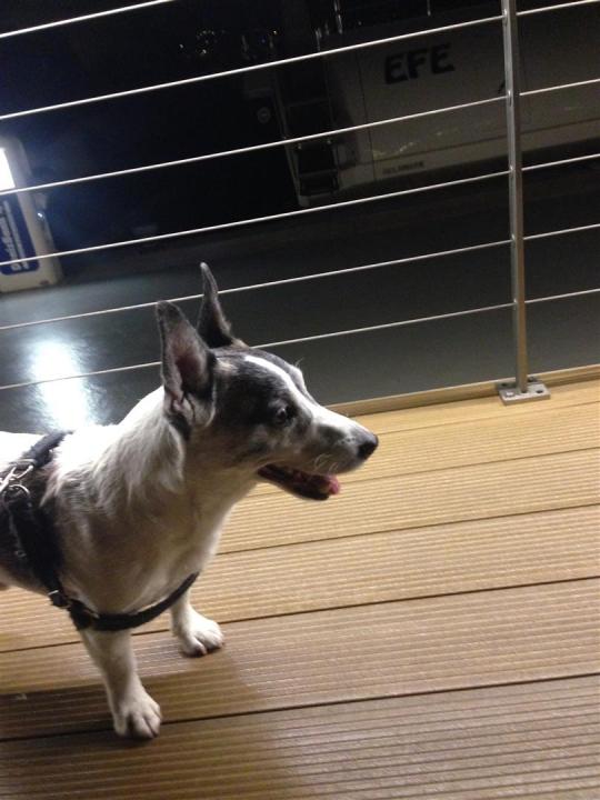 Bodrum Marina